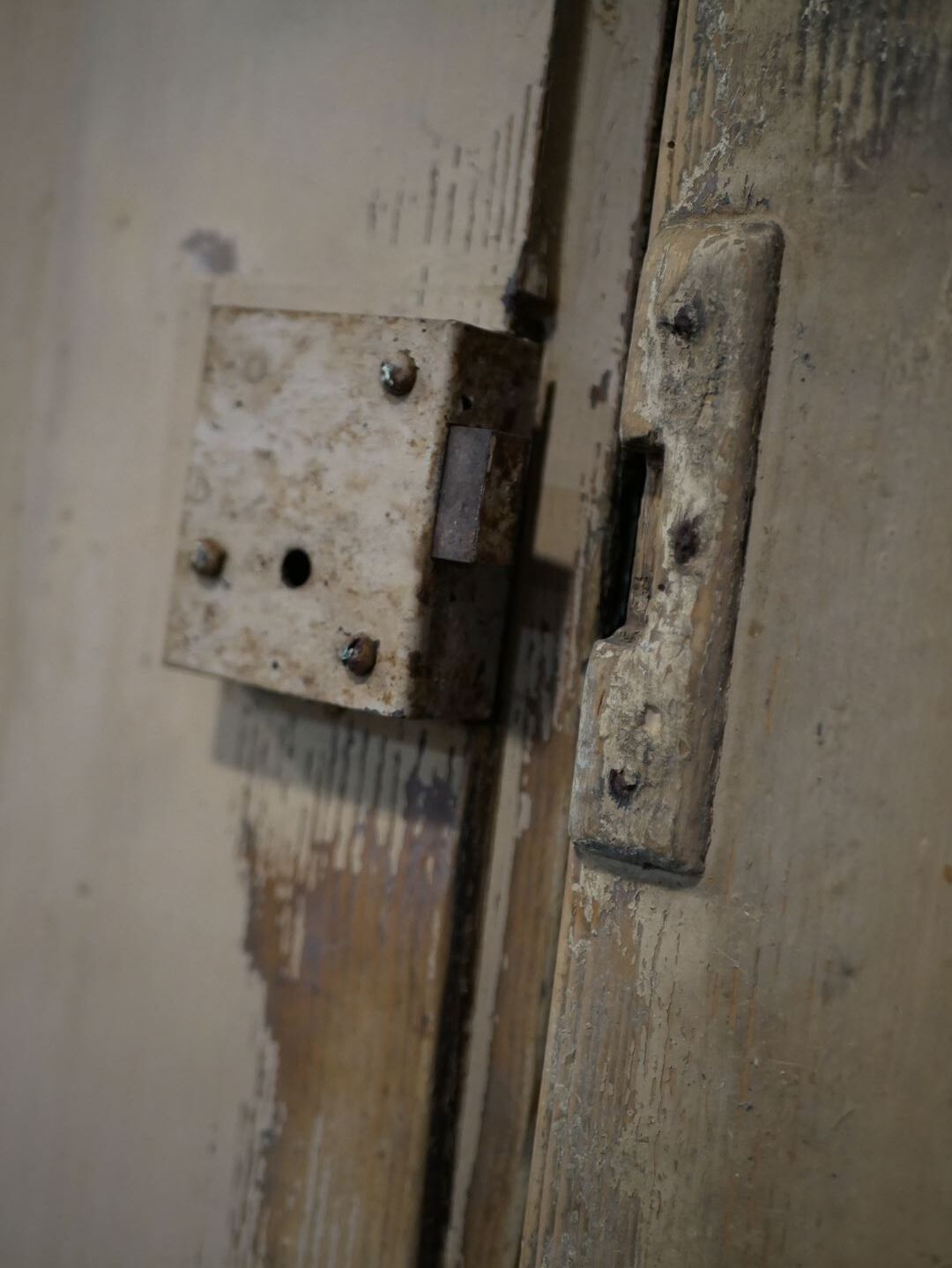 Antique painted wooden doors