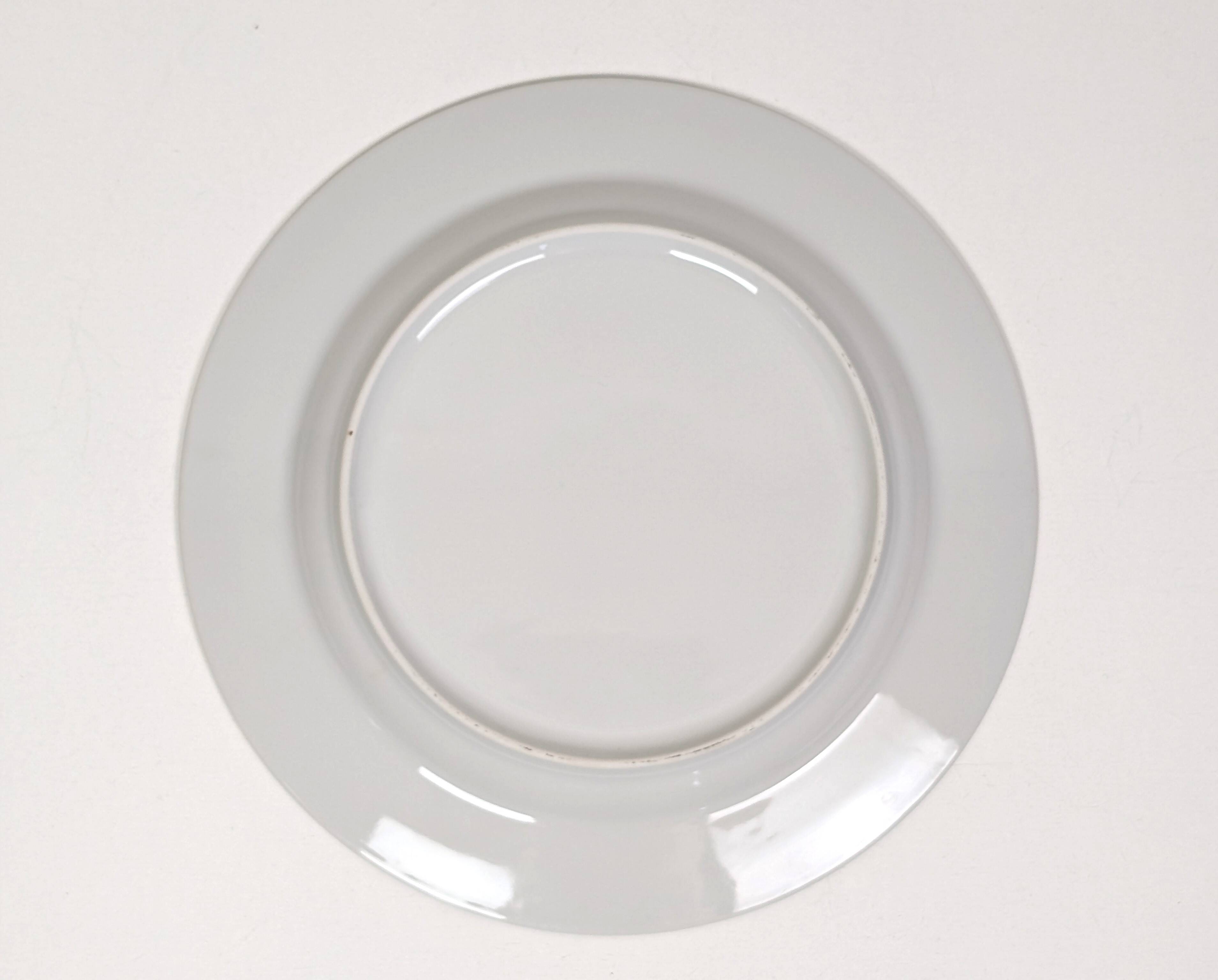 Set of 10 white and blue flat plates