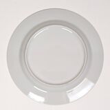 Set of 10 white and blue flat plates