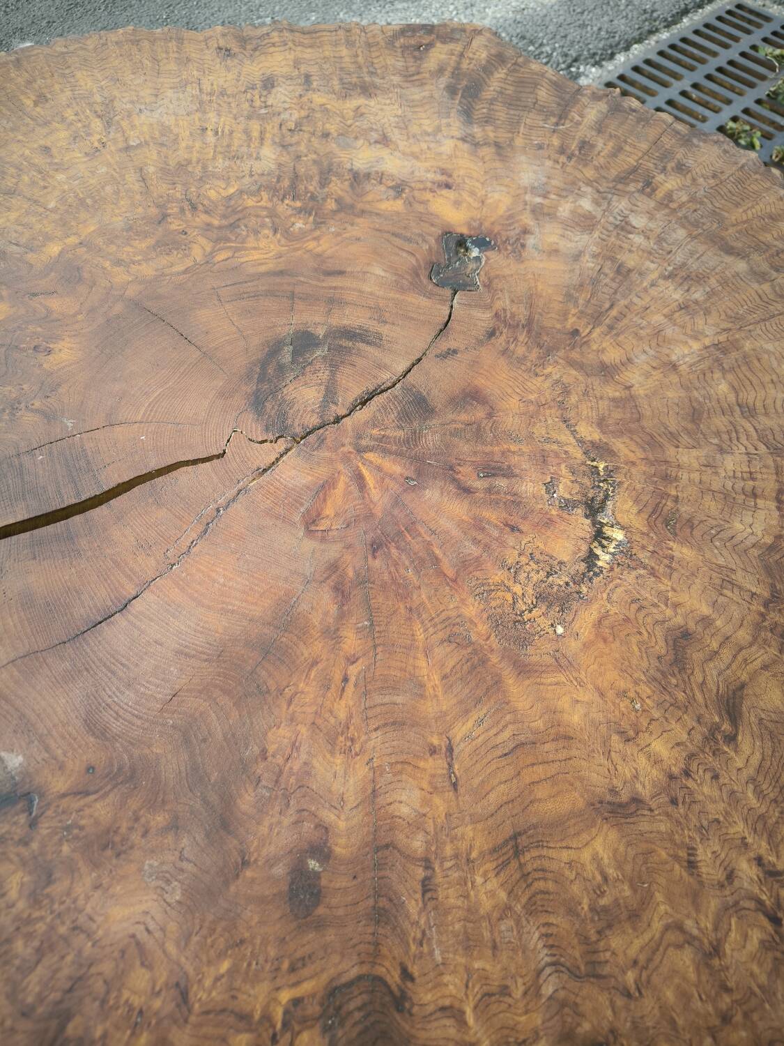 Brutalist coffee table in solid elm burl 108 cm diameter