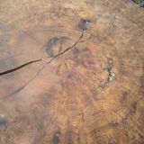 Brutalist coffee table in solid elm burl 108 cm diameter