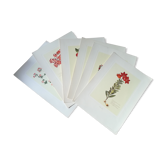 Lot de 6 planches botaniques