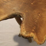 Extra table / teak root sofa tip