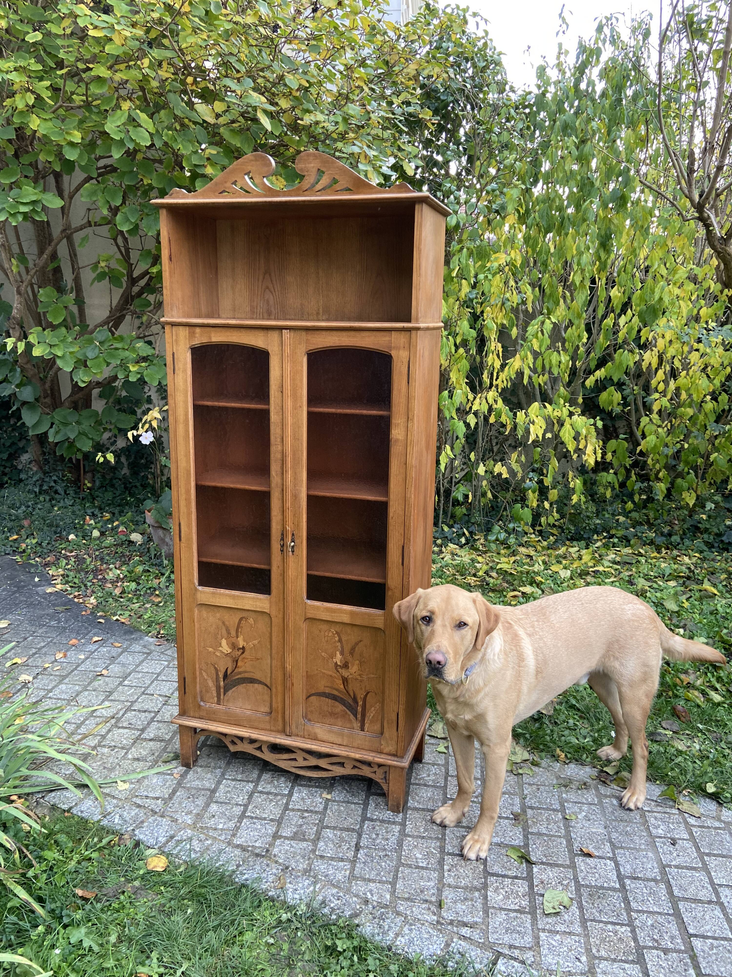 Showcase library Art Nouveau early twentieth century