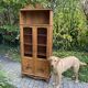 Showcase library Art Nouveau early twentieth century