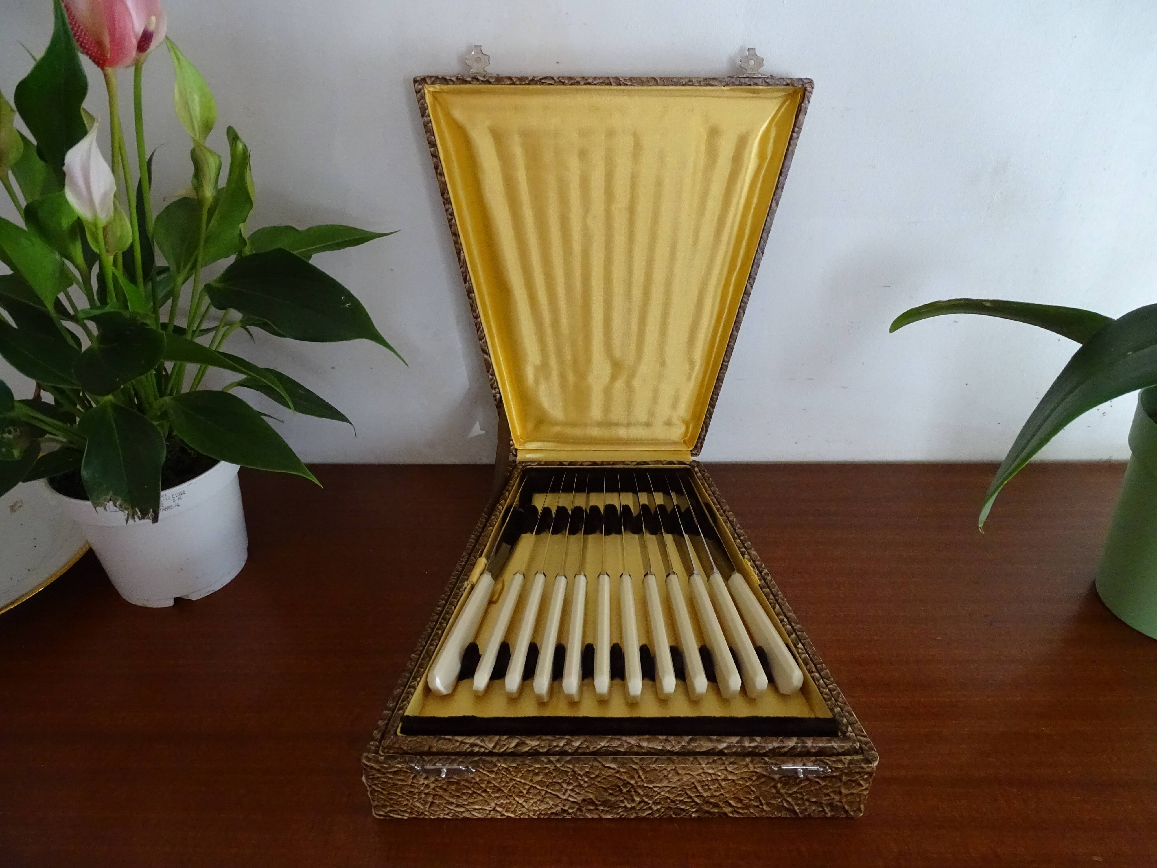 24 Art Deco knives Apollonox bakelite and stainless steel handles in case