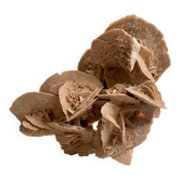 Sand rose 23 cm