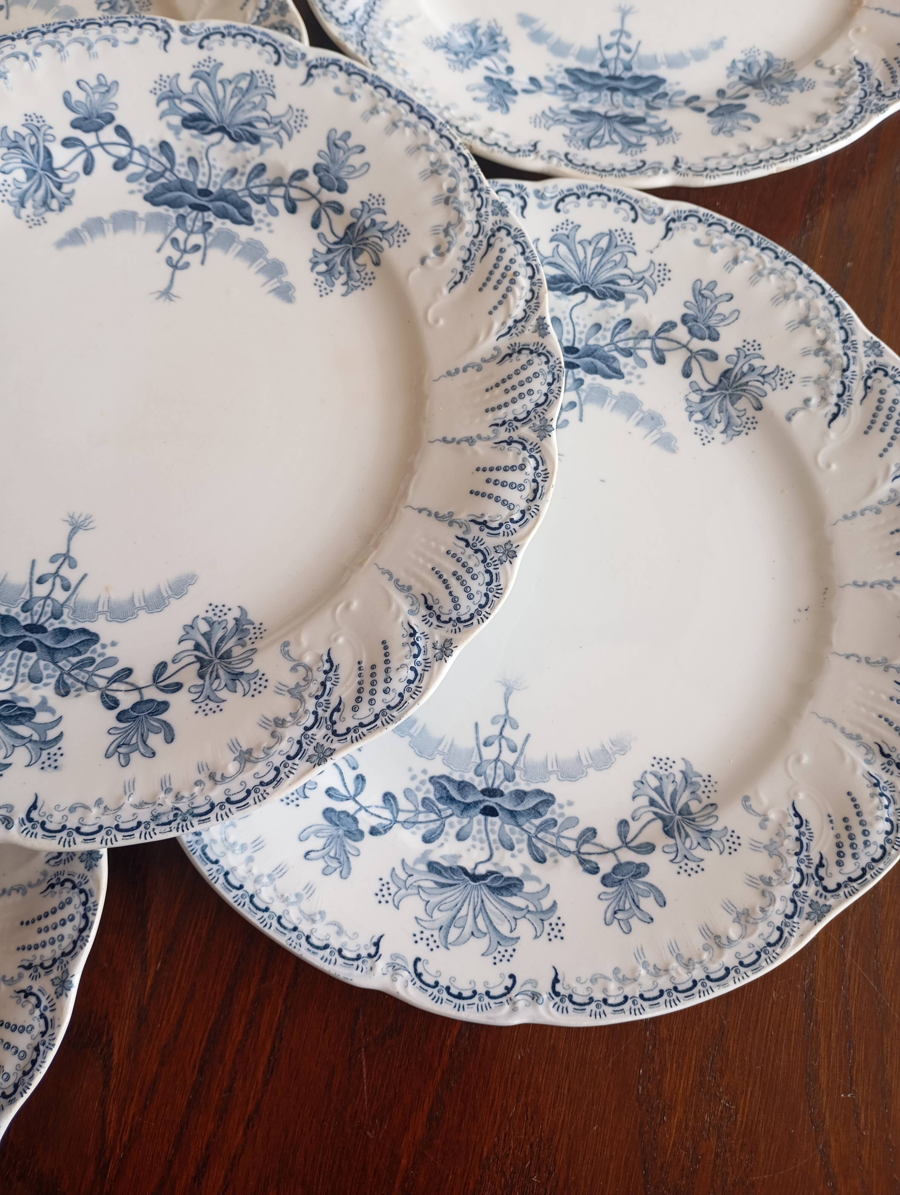 Flat plates ironstone St Amand Hamage 'Regency'