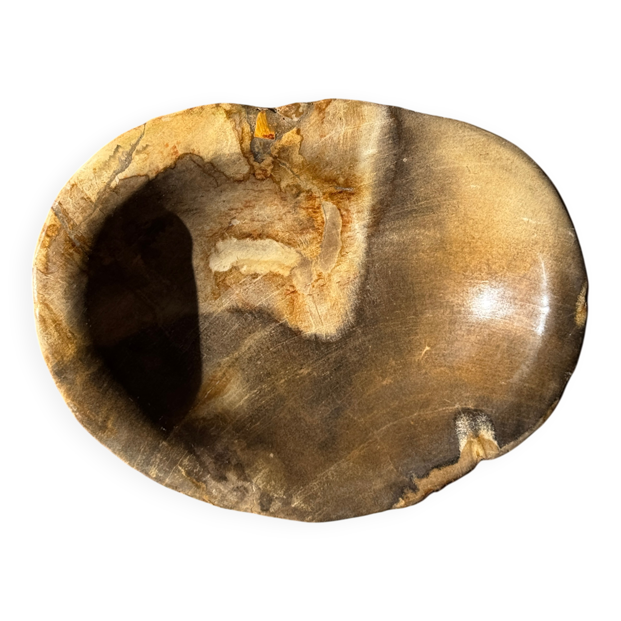 Dark beige oval petrified wood bowl 25x19 - 3782