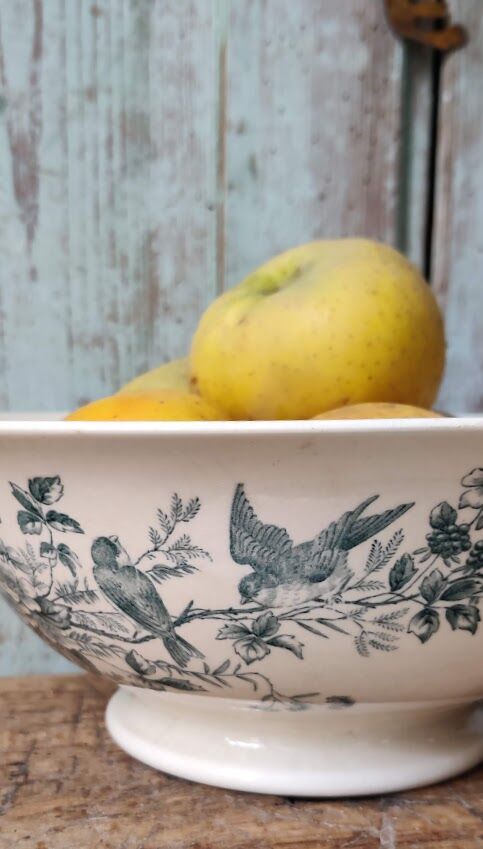 Salad bowl "Cute" from Longwy