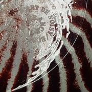 Vintage zebra vase, Soisy art glassware on school