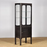 Vintage Iron And Glass Display Cabinet, 1970s