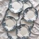 8 flat ironstone plates “Marie Louise” Saint Amand and Hamage