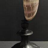 Cabinet of Curiosities sea urchin toxopneustes pileolus on base