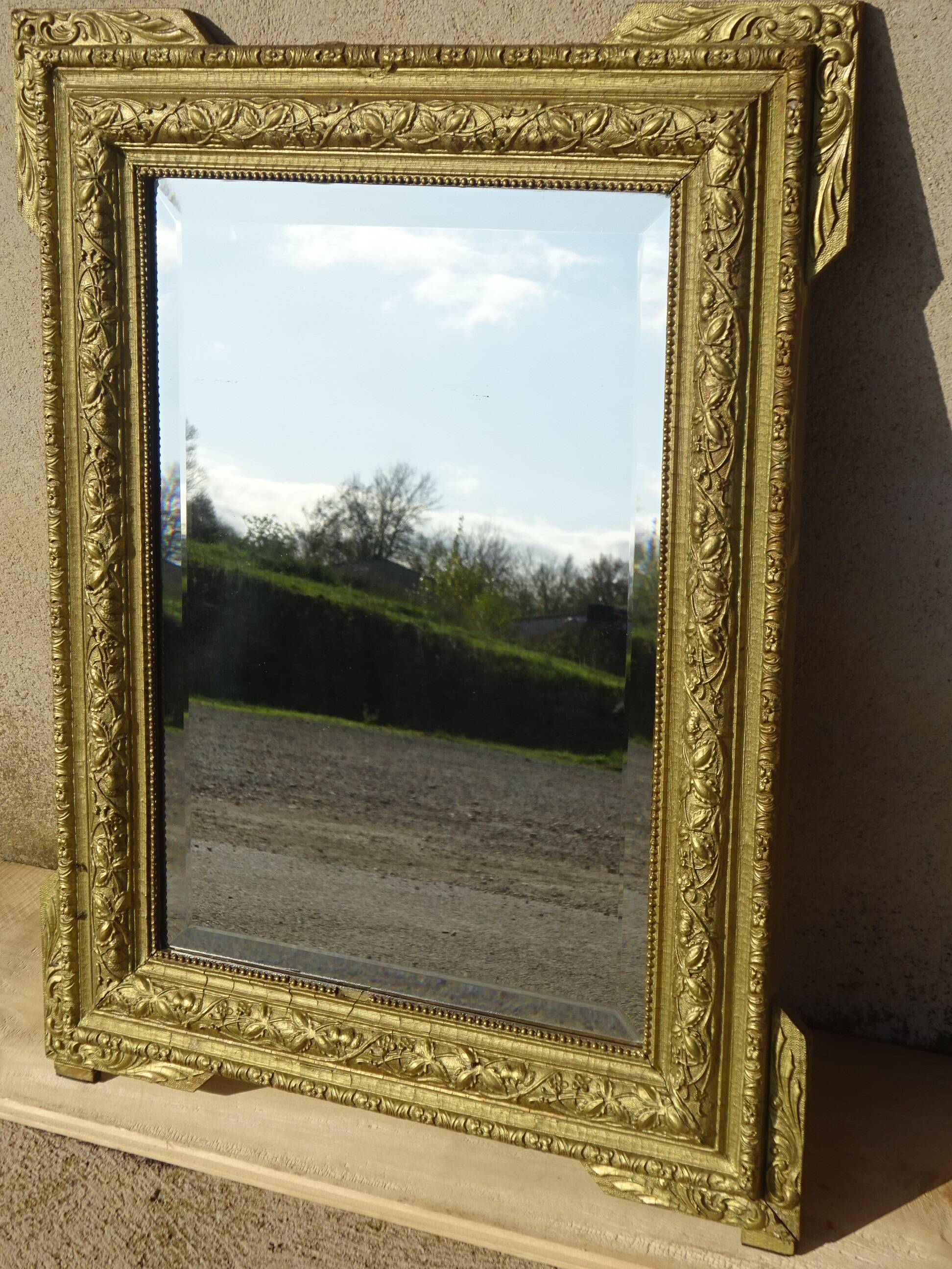 Antique mercury mirror in the Napoleon III style.