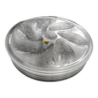Set of 6 Arcoroc vintage oyster plates excellent condition