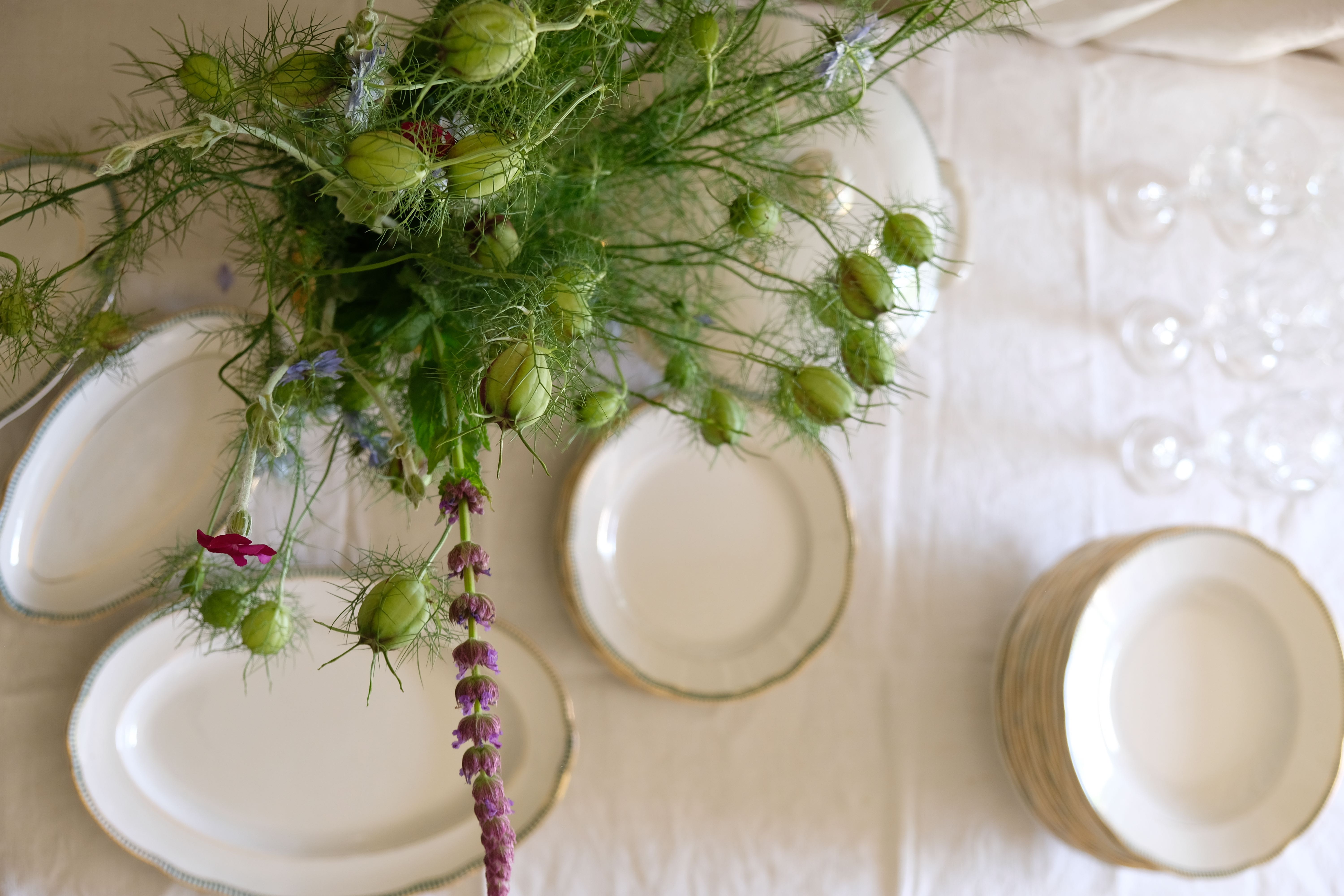 Set of 12 porcelain soup plates collection ''Juan'' Sarreguemine Digoin 1950