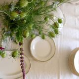 Set of 12 porcelain soup plates collection ''Juan'' Sarreguemine Digoin 1950