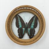 Wicker and butterflies coasters