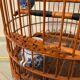 Ancienne cage à oiseaux en bois et rotin
