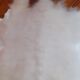 Sheepskin