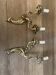 Pair of bronze wall lamps