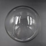 Glass bell globe for decoration cabinet of curiosity