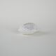Decorative porcelain seashell, Italian design, 1970s, production: Italy