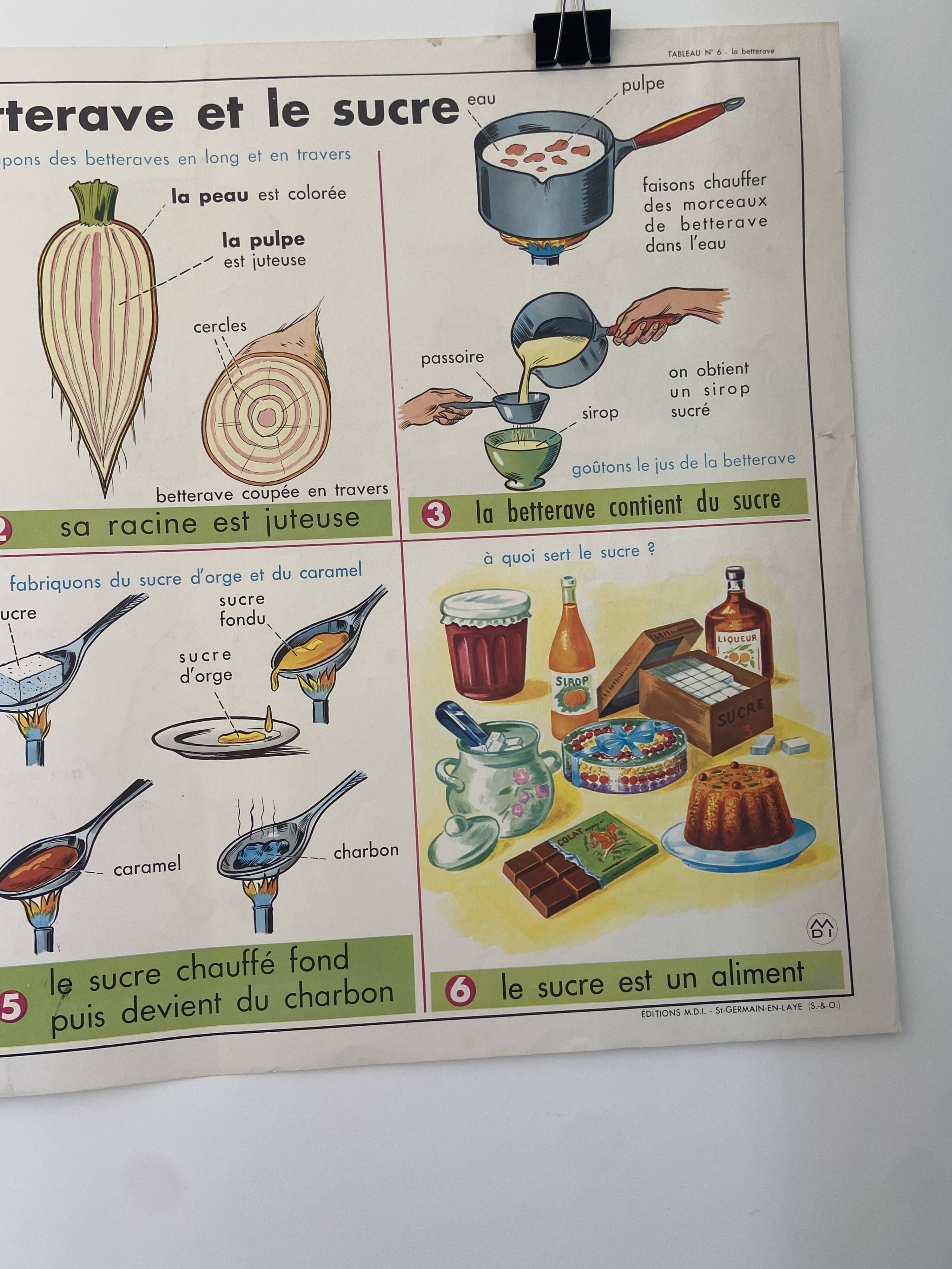 Vintage educational poster