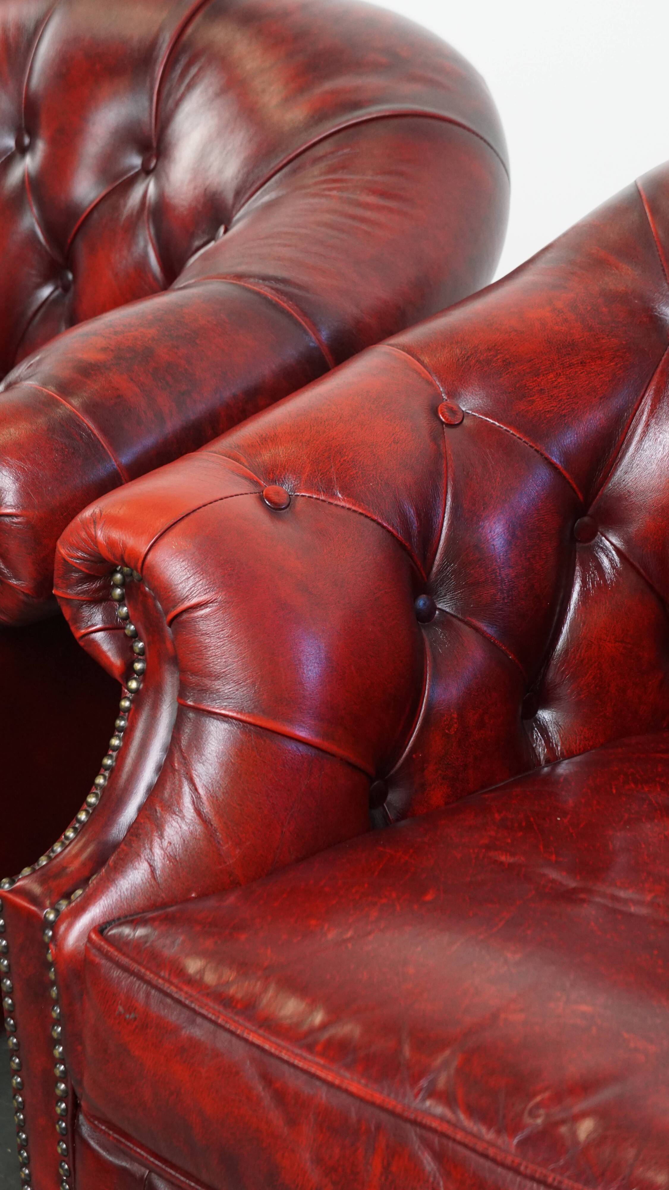 Ensemble de 6 fauteuils club Chesterfield en cuir de vache anglais