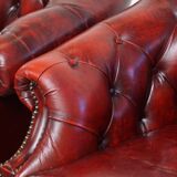 Ensemble de 6 fauteuils club Chesterfield en cuir de vache anglais