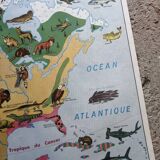 Vintage school map mdi North America-Asia Wildlife