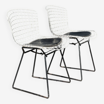 Wire metal chair Bertoia