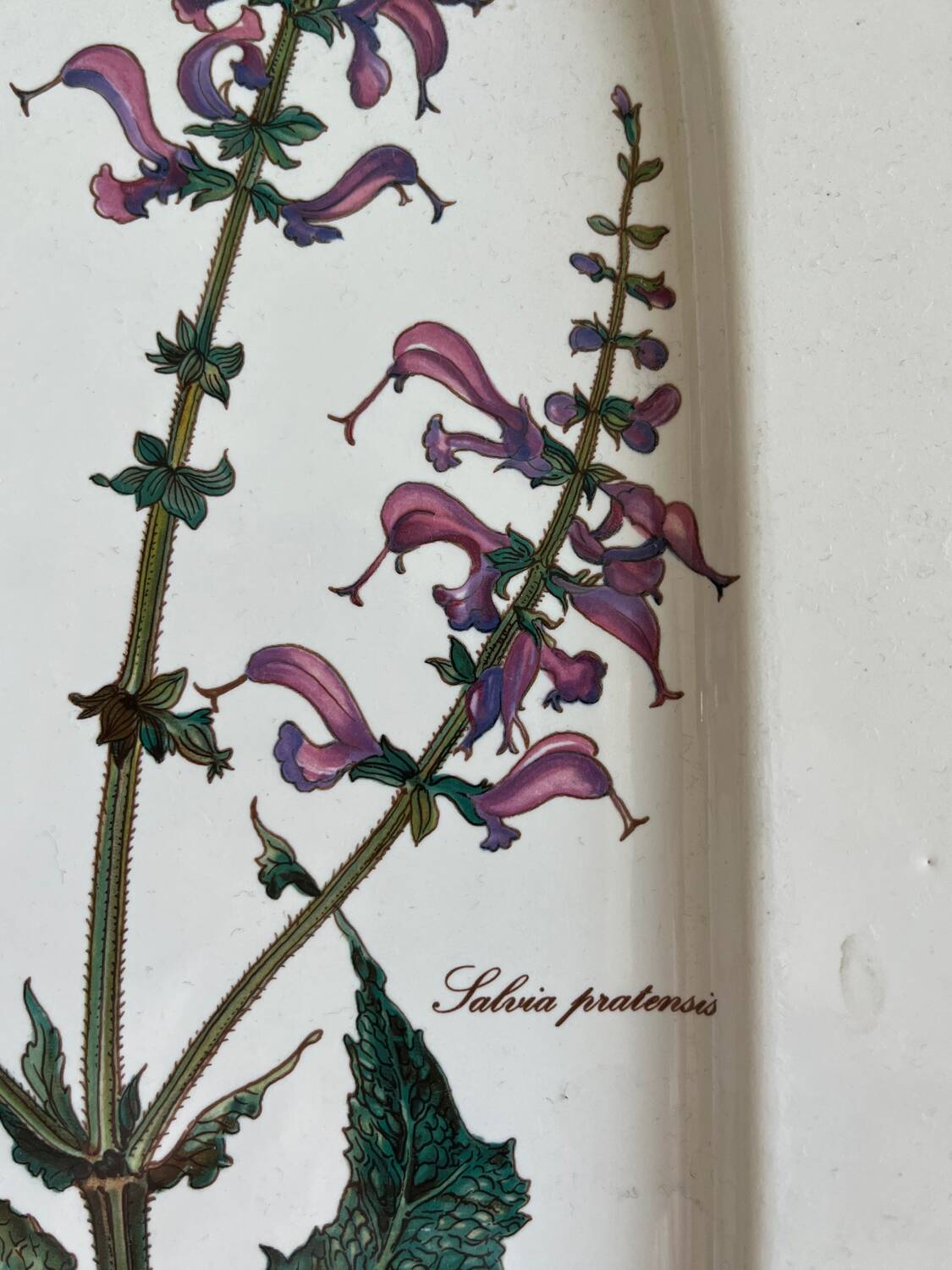 Villeroy and Boch botanica dish