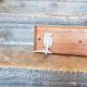 Peg of schoolboy