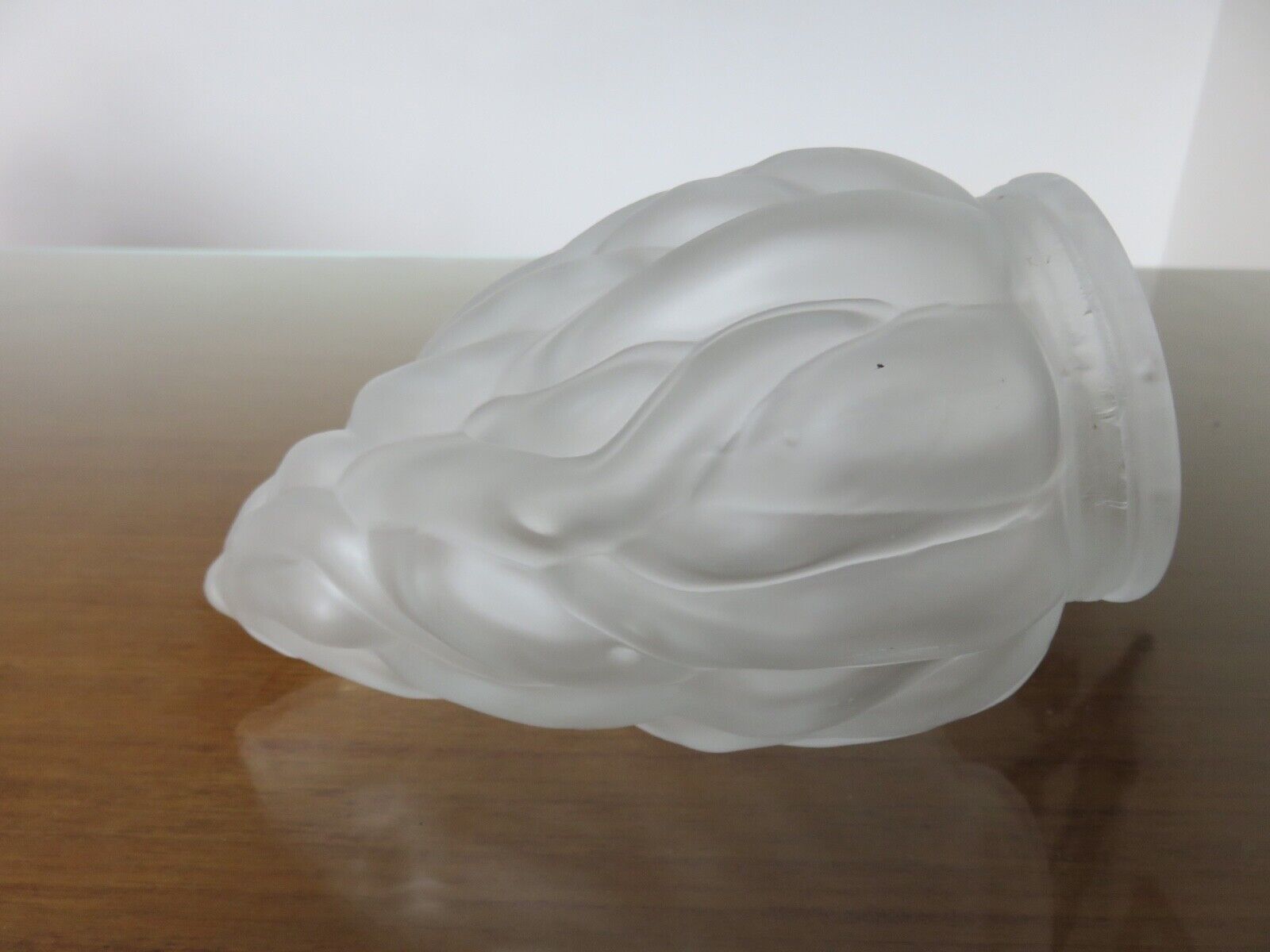 Tulip in frosted satin glass