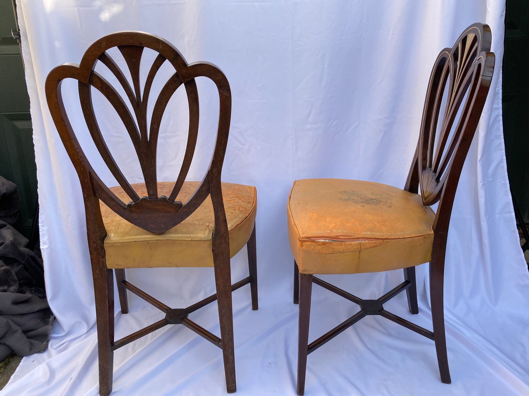Series four English chairs Hepplewhite mahogany leather early twentieth century
