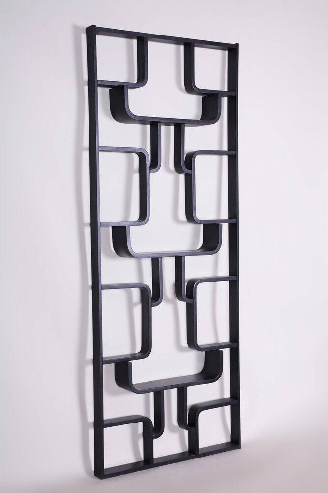 Mid-Century Room Divider Wall Unit by Ludvik Volak for Drevopodnik Holesov, 1960s