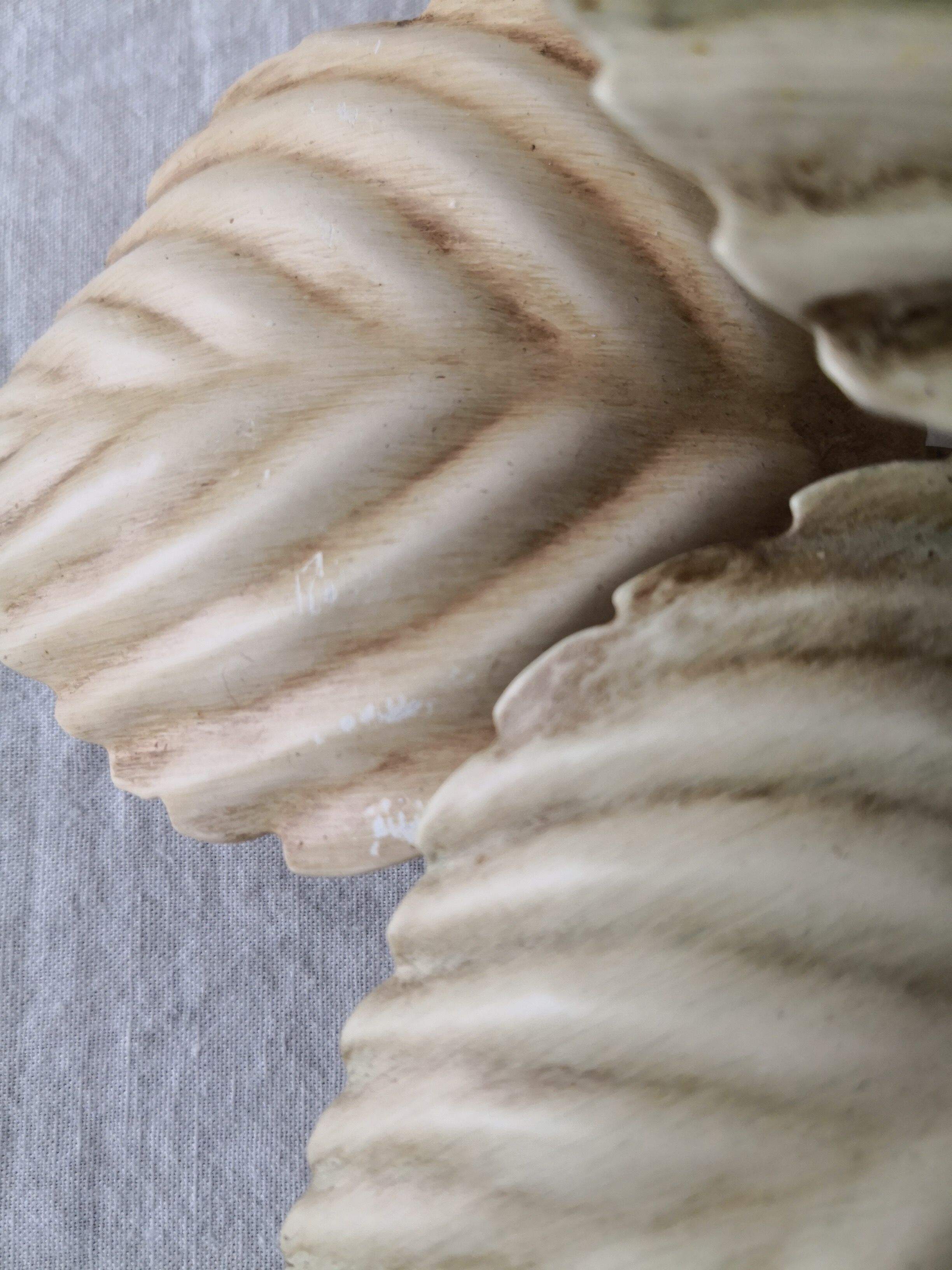 Ceiling wall lamp flower of the 70s