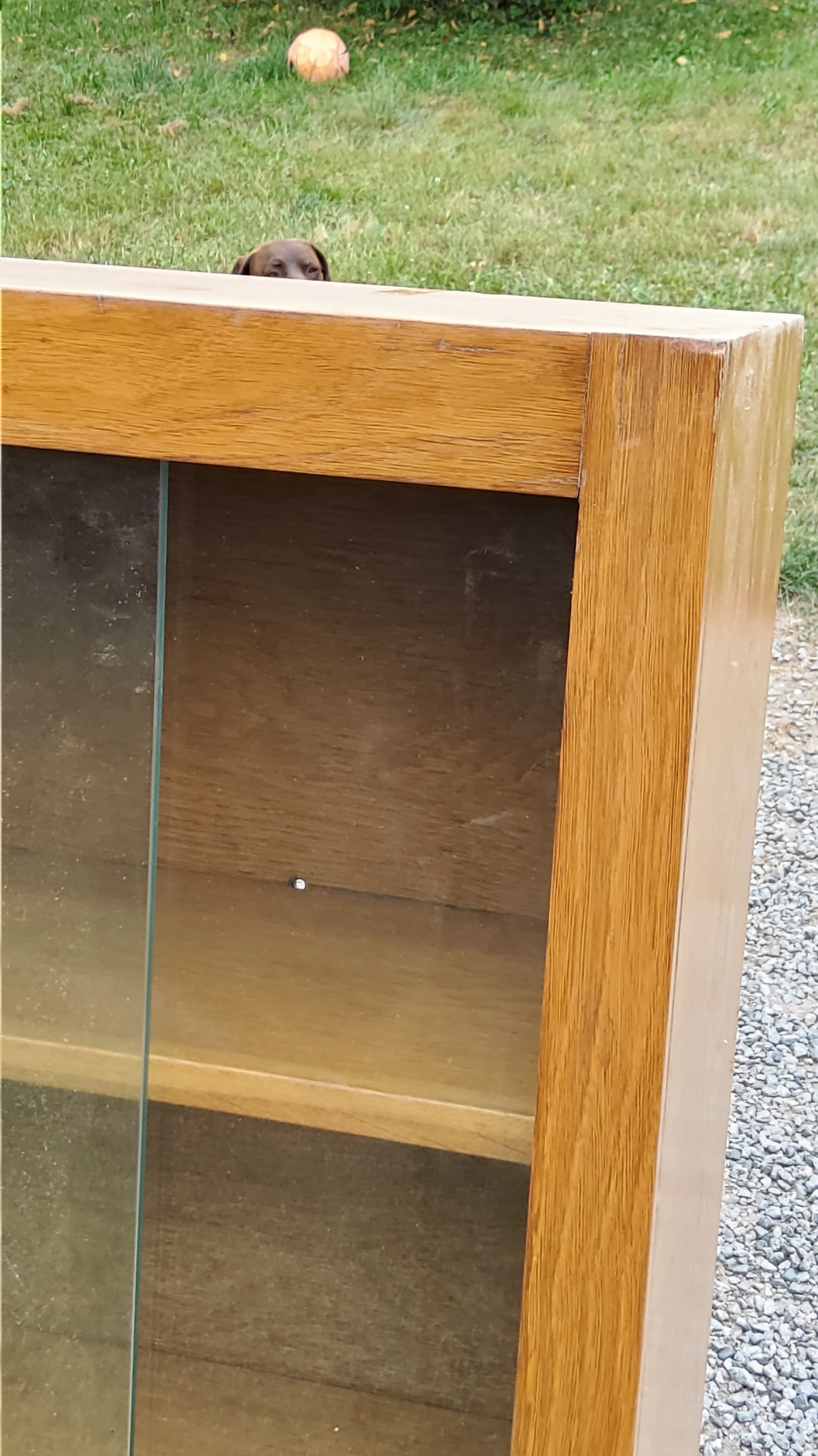 Wall display case from the 50s in solid blond oak