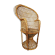 Children's peacock armchair