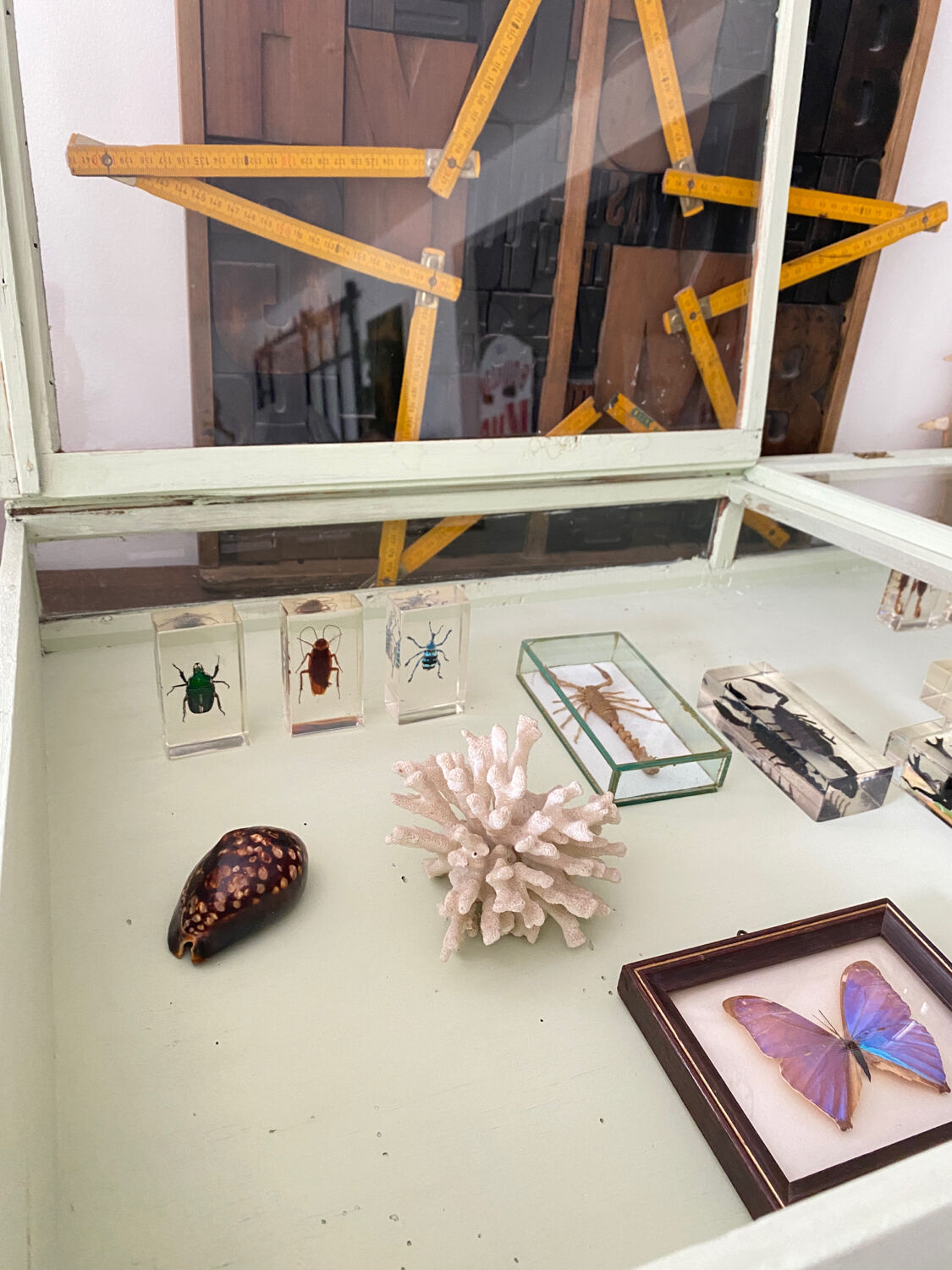 Display case with double glass