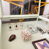 Display case with double glass