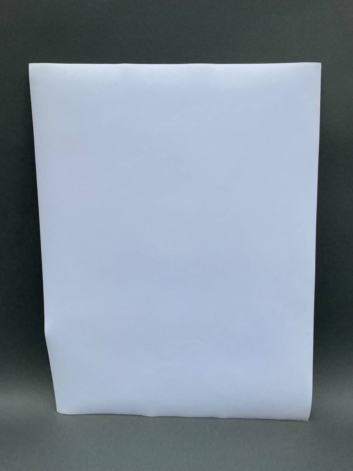 Silver gelatin photograph by Bernard Darot, Two Trees by the Water, 20th century