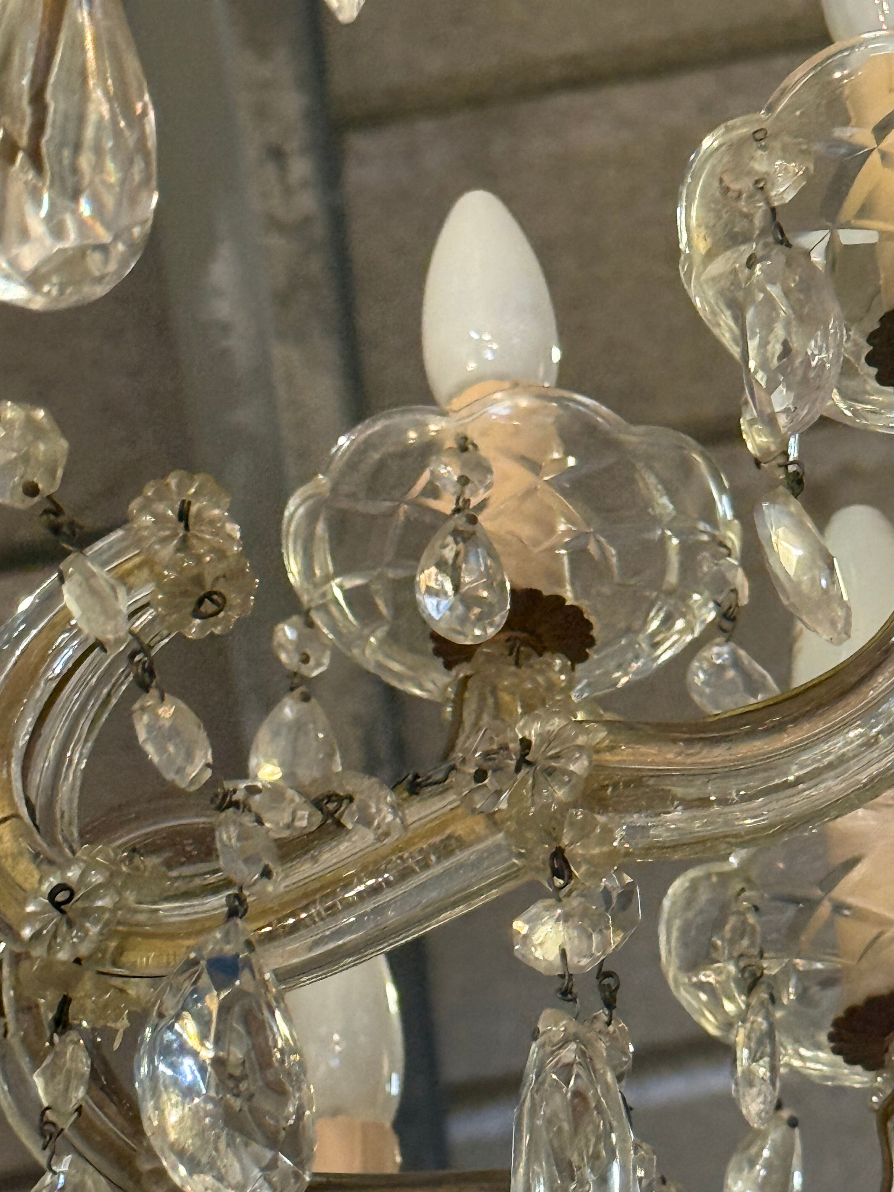 Lustre 12 feux pampilles