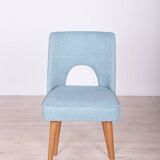 Polish Shell Chairs from Bydgoszcz Furniture Factory, 1960s, Set of 6