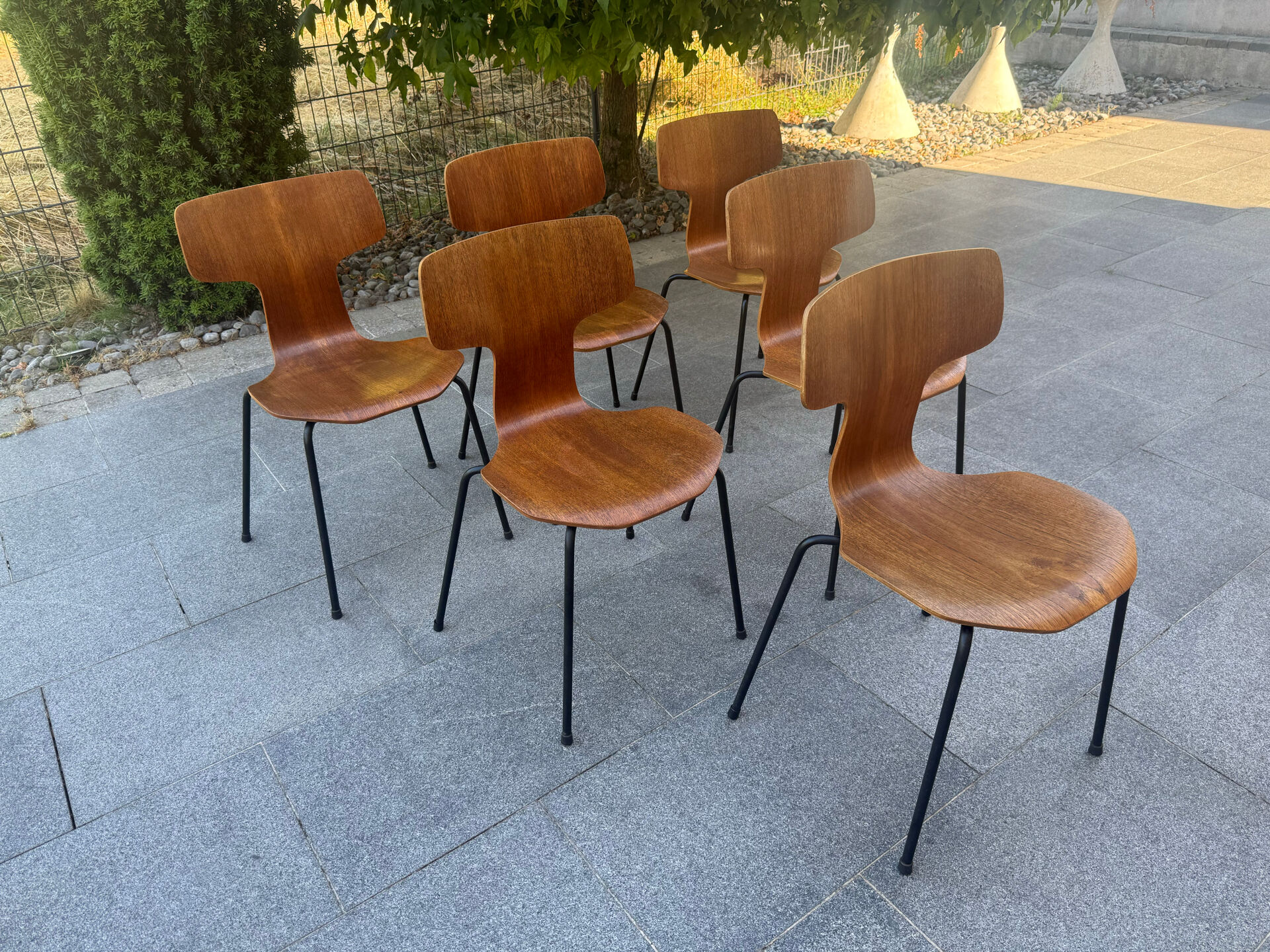 Lot de 6 chaises scandinave Fritz Hansen 1960