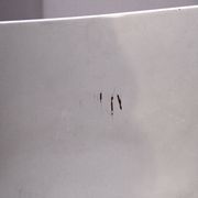 Set of 9 ant chairs 3107 Arne Jacobsen