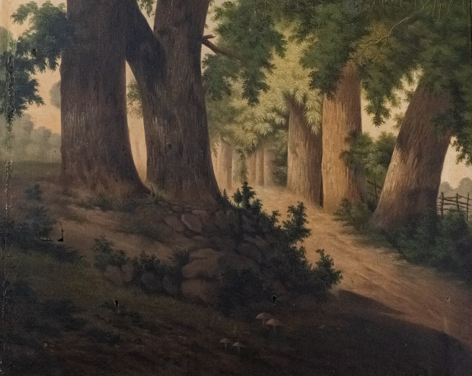Oil on canvas undergrowth scene early twentieth century