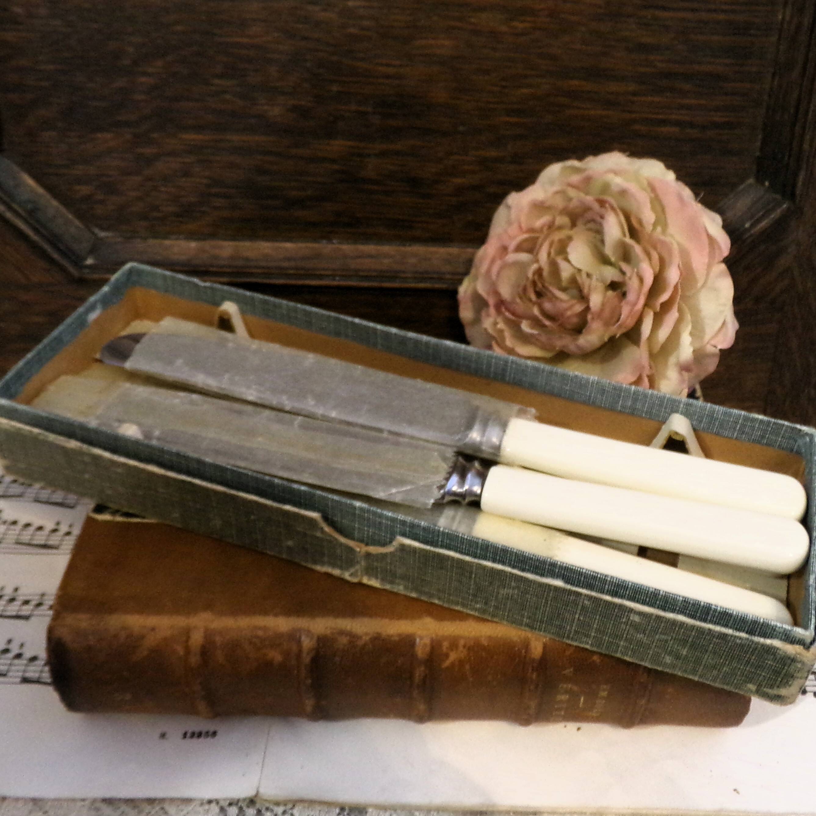 Box of 5 dessert knives in Sheffield steel with imitation bone handle.